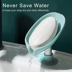 Buy 2 Get 3 Free (5 Pcs) Hydraulic Soap Holder Dish in Leaf Shape for Liquid Draining