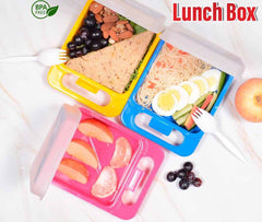 Buy 1 Get 2 Free Offer Lunch Box in New Fashionable Trendy Sandwich Design 3 Pcs